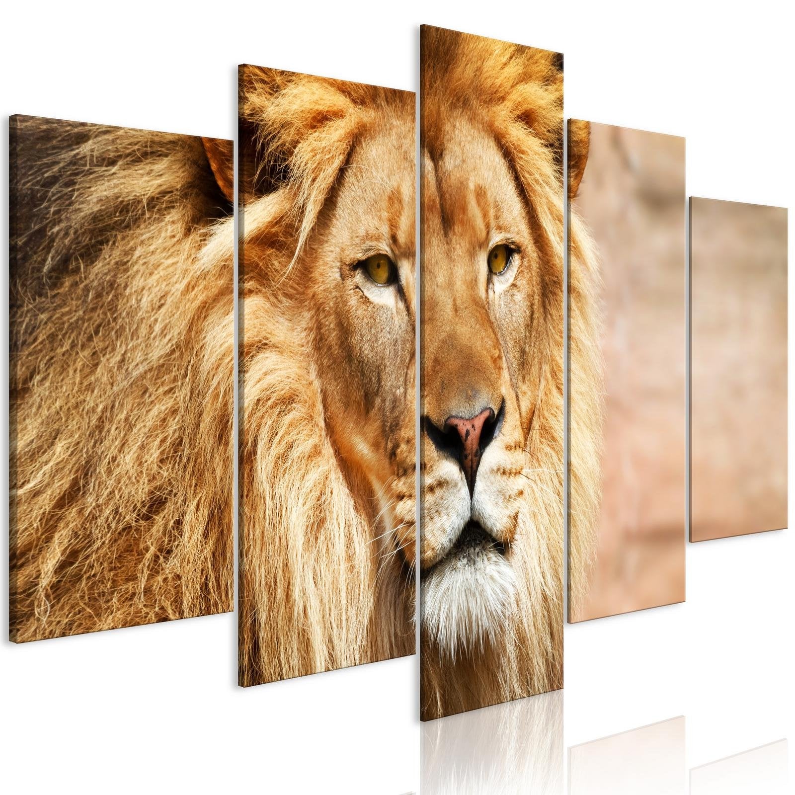 Stretched Canvas Animal Art - The King Of Beasts Orange 5 Piece-Tiptophomedecor