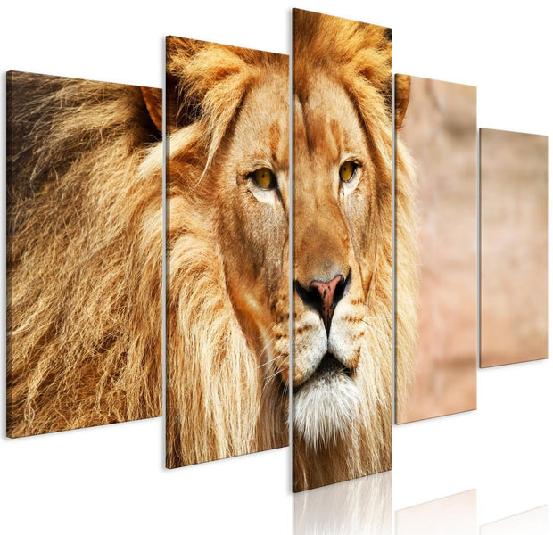 Stretched Canvas Animal Art - The King Of Beasts Orange 5 Piece-Tiptophomedecor