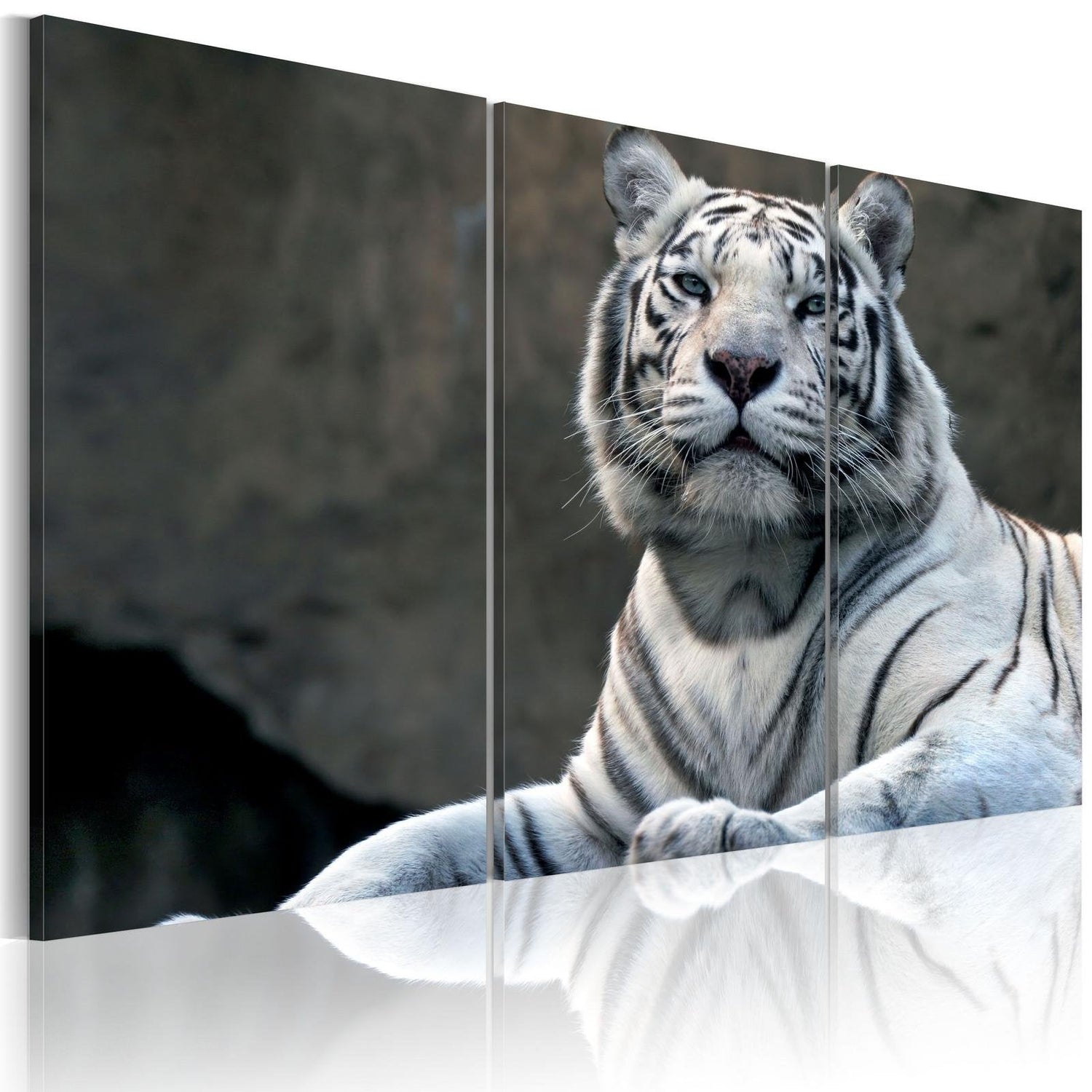 Stretched Canvas Animal Art - White Tiger-Tiptophomedecor