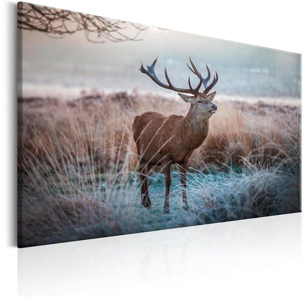 Stretched Canvas Animal Art - Wild Animal-Tiptophomedecor
