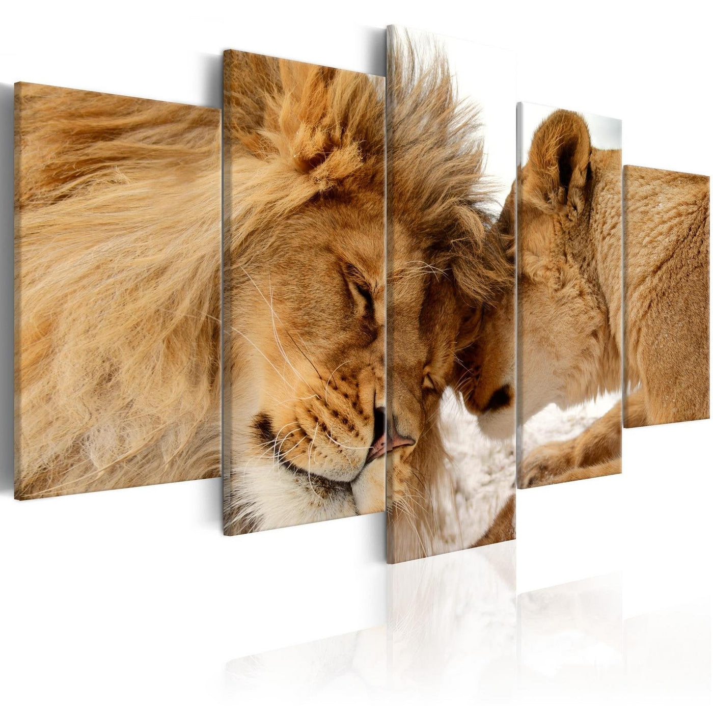 Stretched Canvas Animal Art - Wild Love-Tiptophomedecor