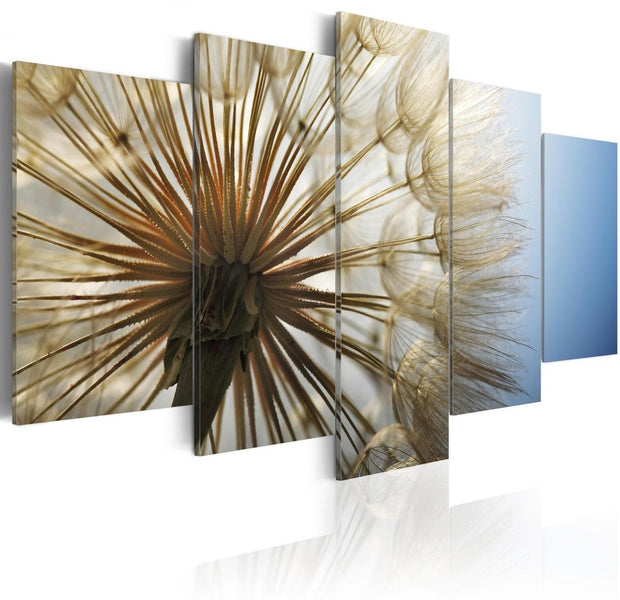 Stretched Canvas Floral Art - Admiration Of Gentleness-Tiptophomedecor