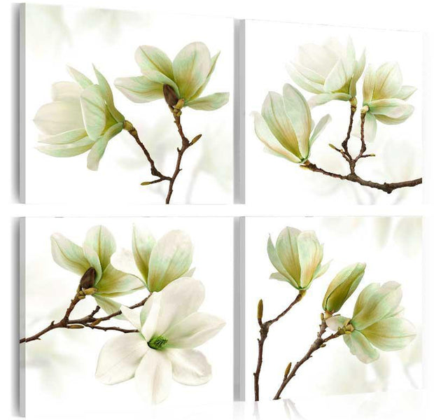 Stretched Canvas Floral Art - Admiration Of Magnolia-Tiptophomedecor