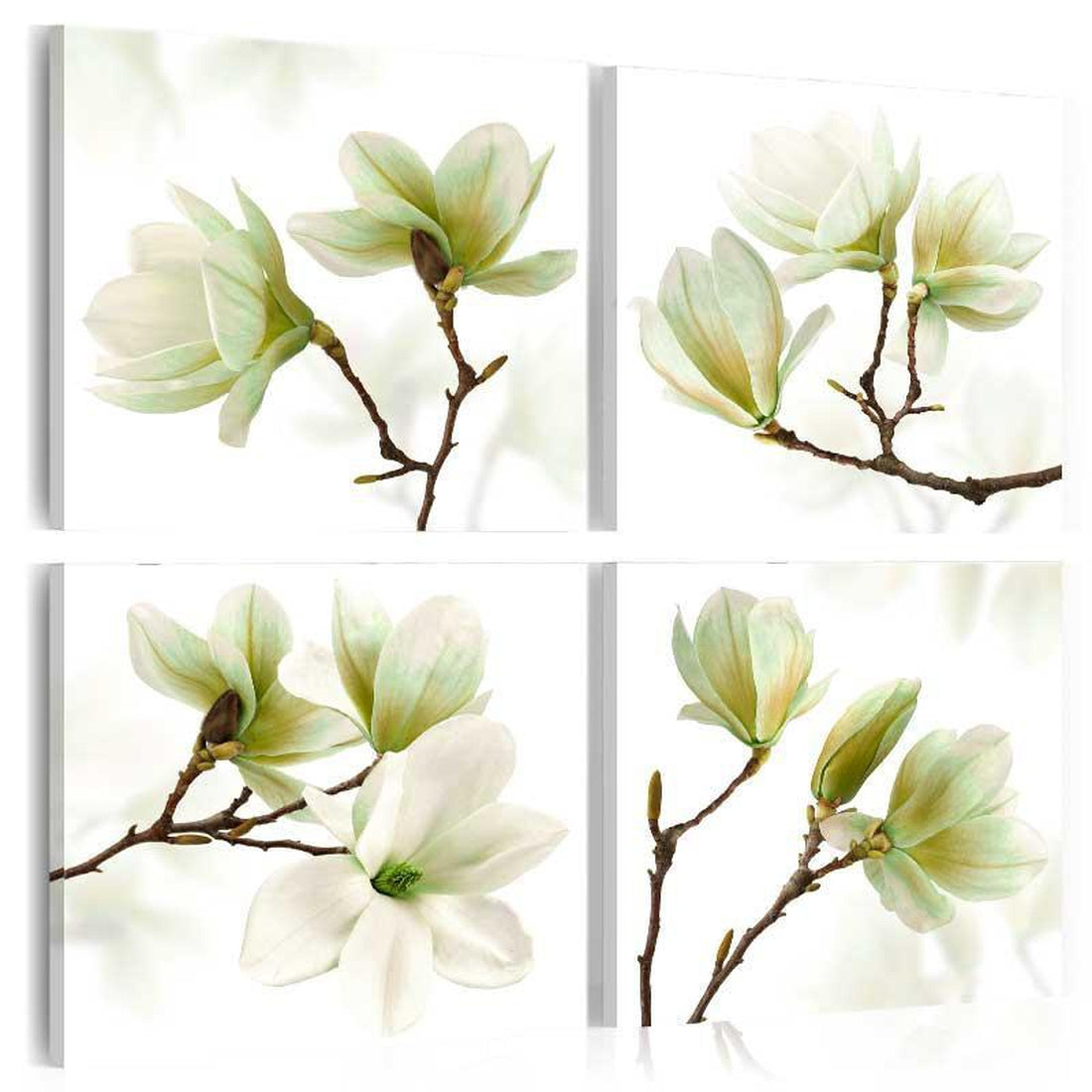 Stretched Canvas Floral Art - Admiration Of Magnolia-Tiptophomedecor