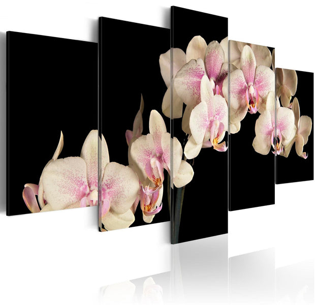 Stretched Canvas Floral Art - An Orchid On A Contrasting Background-Tiptophomedecor