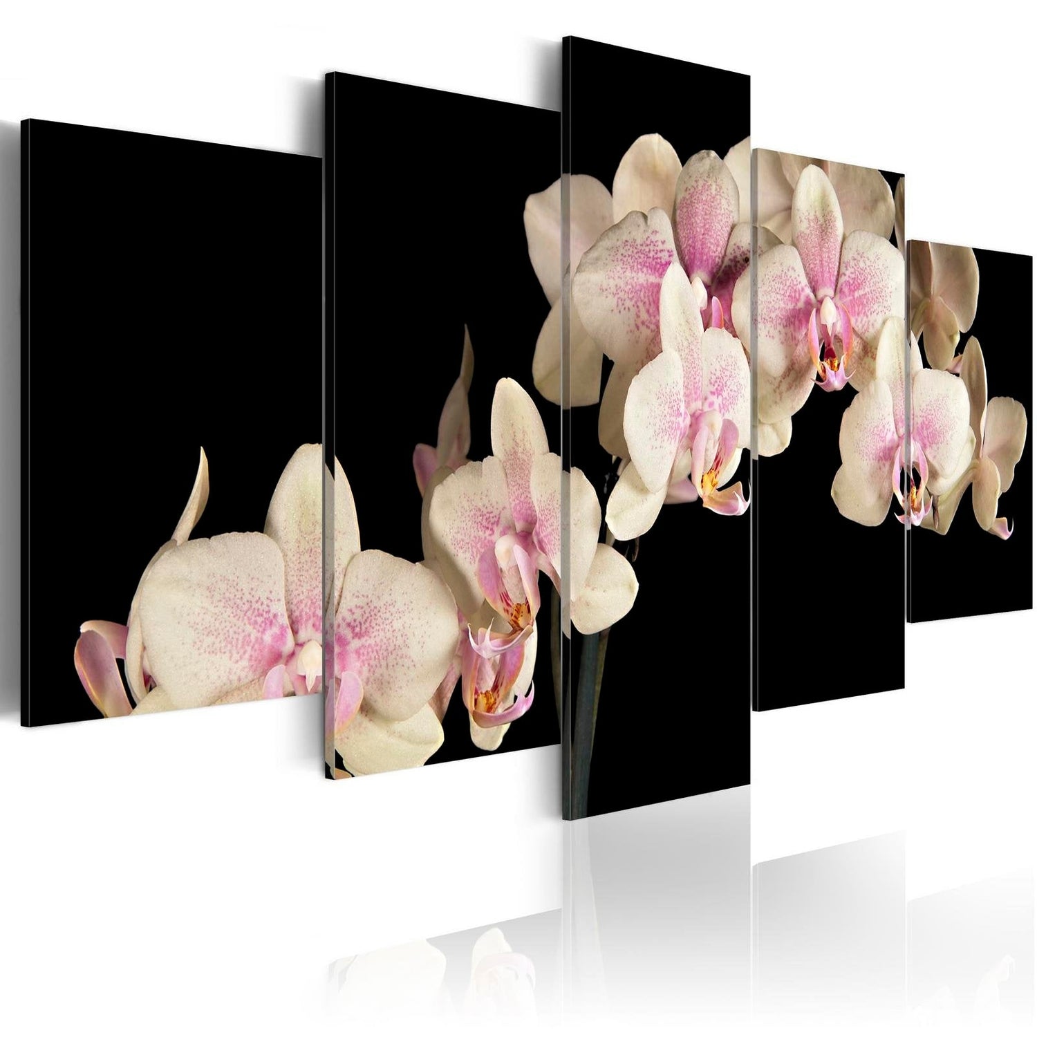 Stretched Canvas Floral Art - An Orchid On A Contrasting Background-Tiptophomedecor