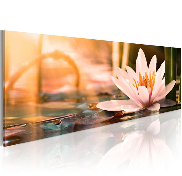Stretched Canvas Floral Art - Beautiful Lotus-Tiptophomedecor
