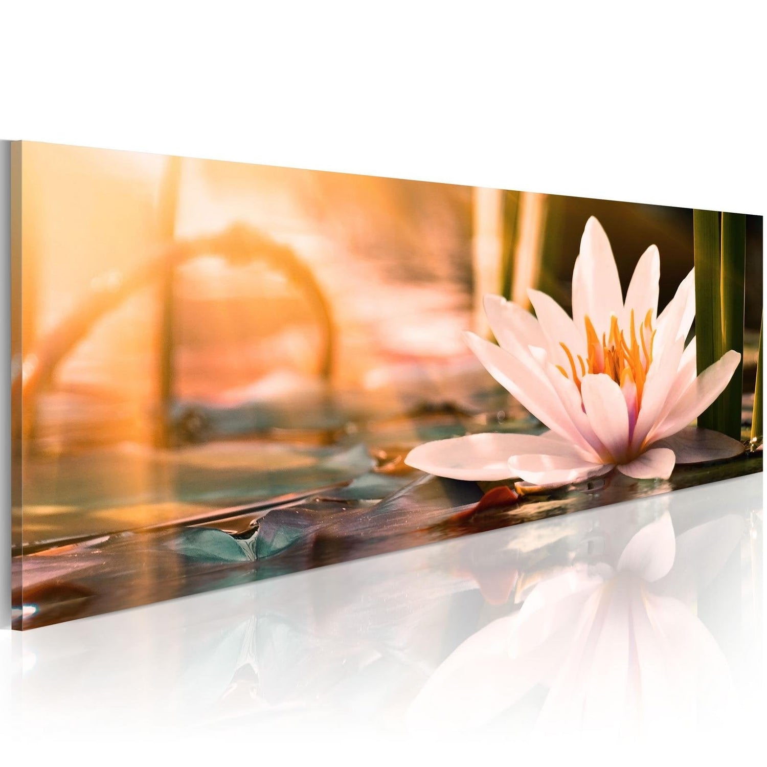 Stretched Canvas Floral Art - Beautiful Lotus-Tiptophomedecor
