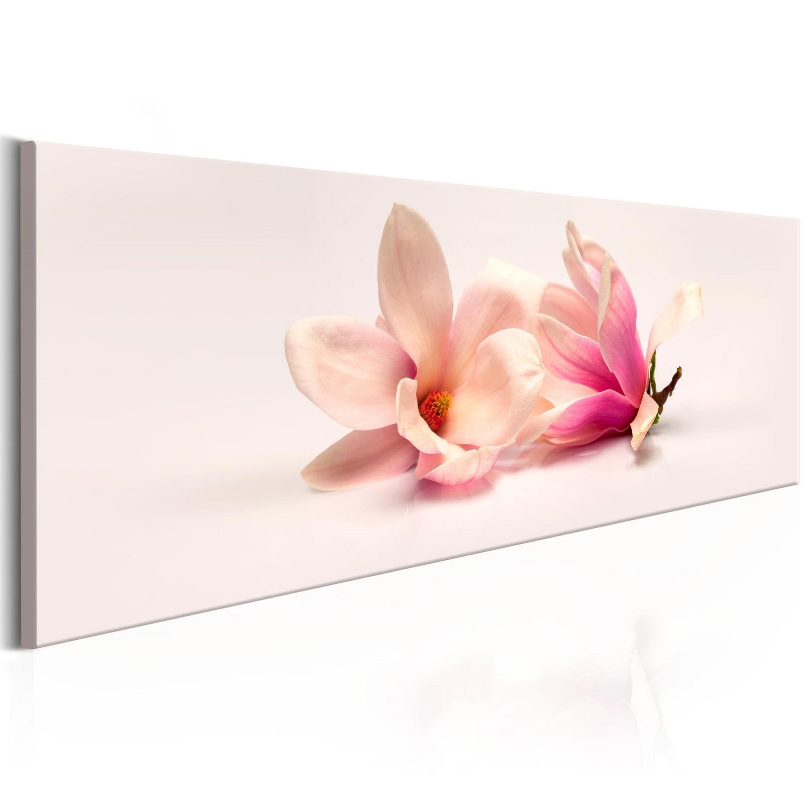 Stretched Canvas Floral Art - Beautiful Magnolias-Tiptophomedecor
