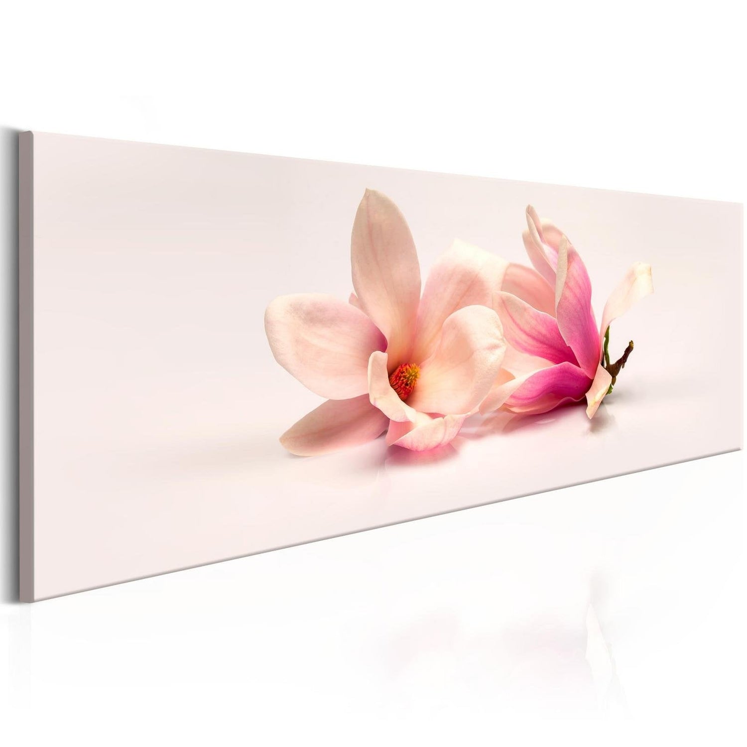 Stretched Canvas Floral Art - Beautiful Magnolias-Tiptophomedecor