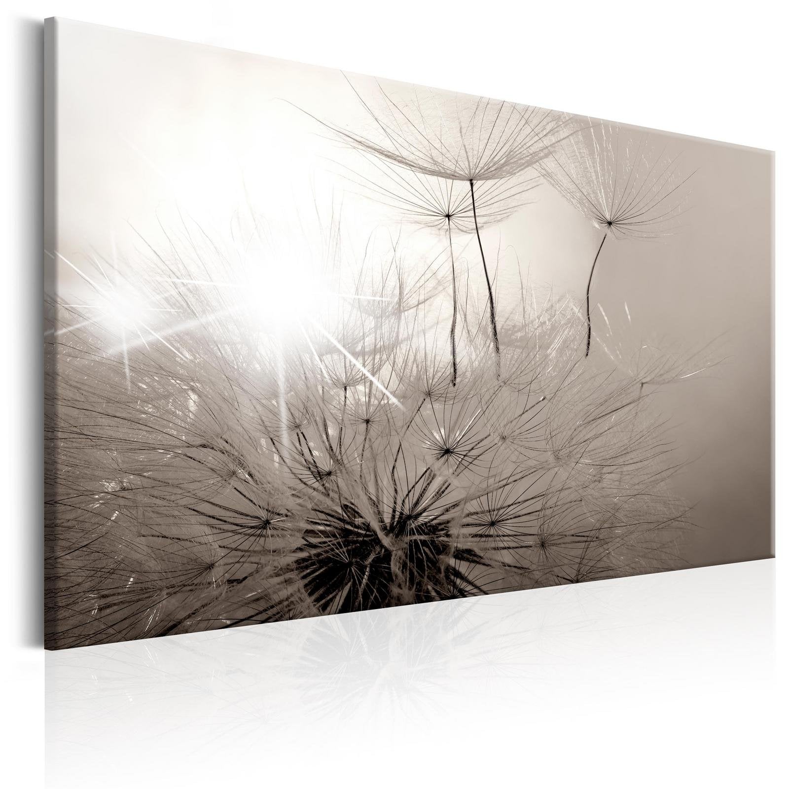 Stretched Canvas Floral Art - Beautiful Summer: Dandelions-Tiptophomedecor