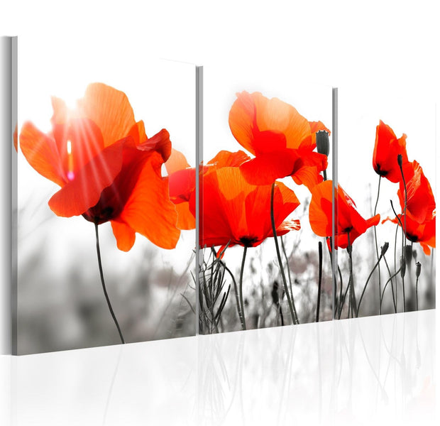 Stretched Canvas Floral Art - Charming Poppies-Tiptophomedecor