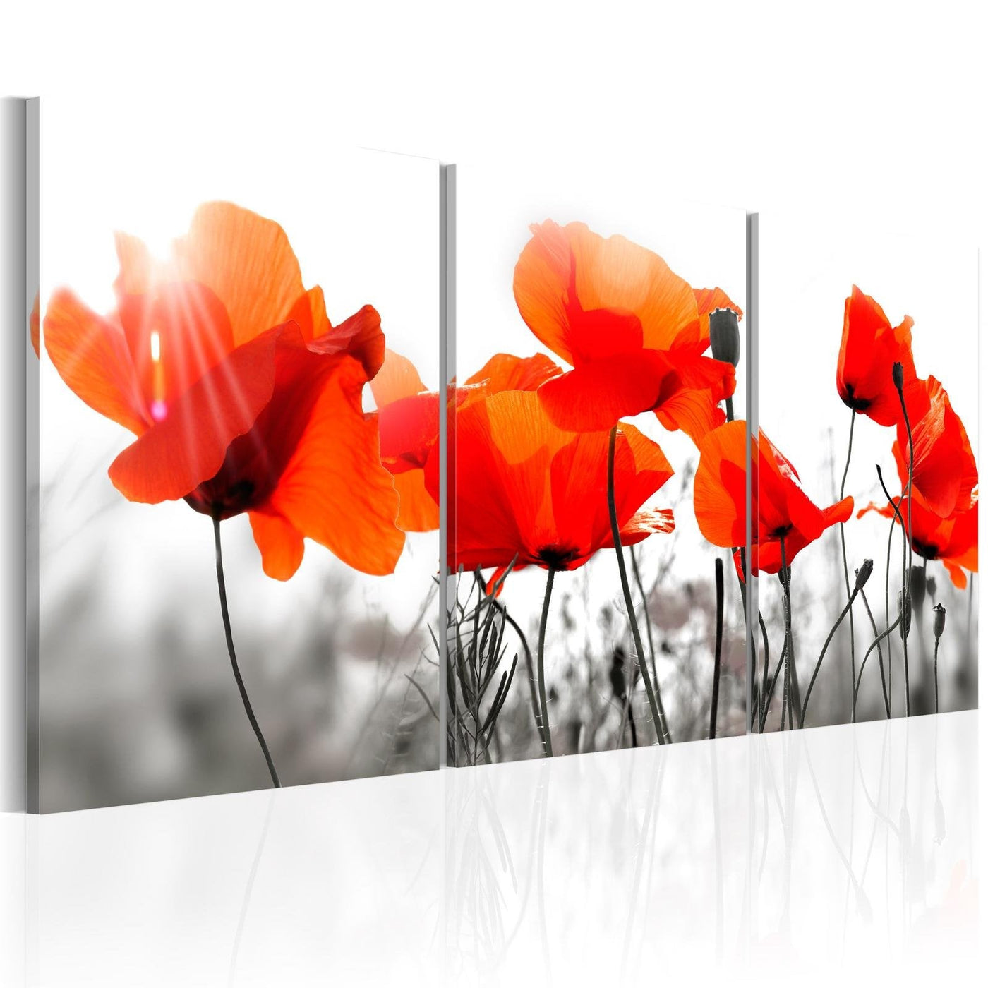 Stretched Canvas Floral Art - Charming Poppies-Tiptophomedecor