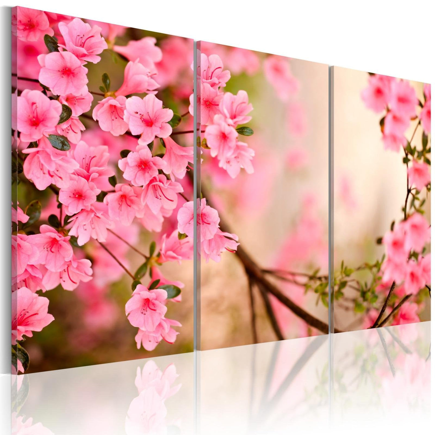Stretched Canvas Floral Art - Cherry Flower-Tiptophomedecor