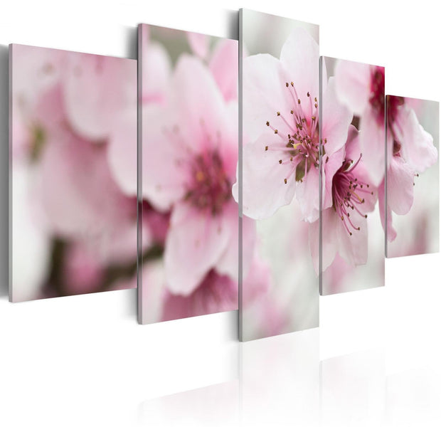 Stretched Canvas Floral Art - Cherry- Gentleness And Beauty-Tiptophomedecor