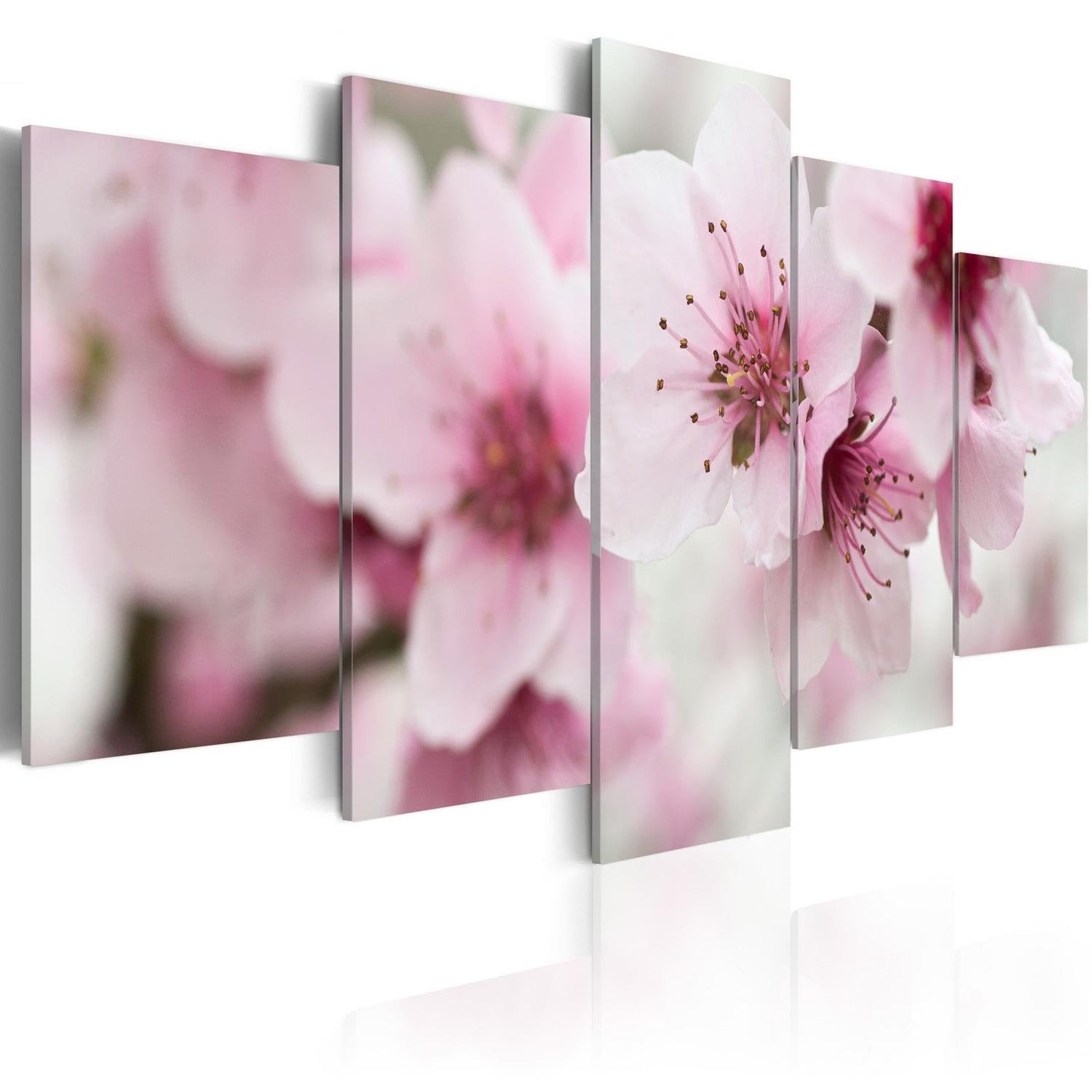 Stretched Canvas Floral Art - Cherry- Gentleness And Beauty-Tiptophomedecor