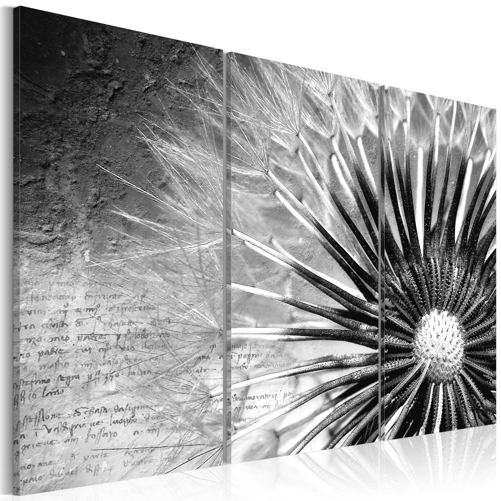 Stretched Canvas Floral Art - Dandelion (Black And White)-Tiptophomedecor
