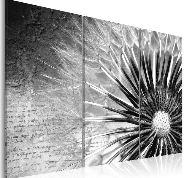 Stretched Canvas Floral Art - Dandelion (Black And White)-Tiptophomedecor