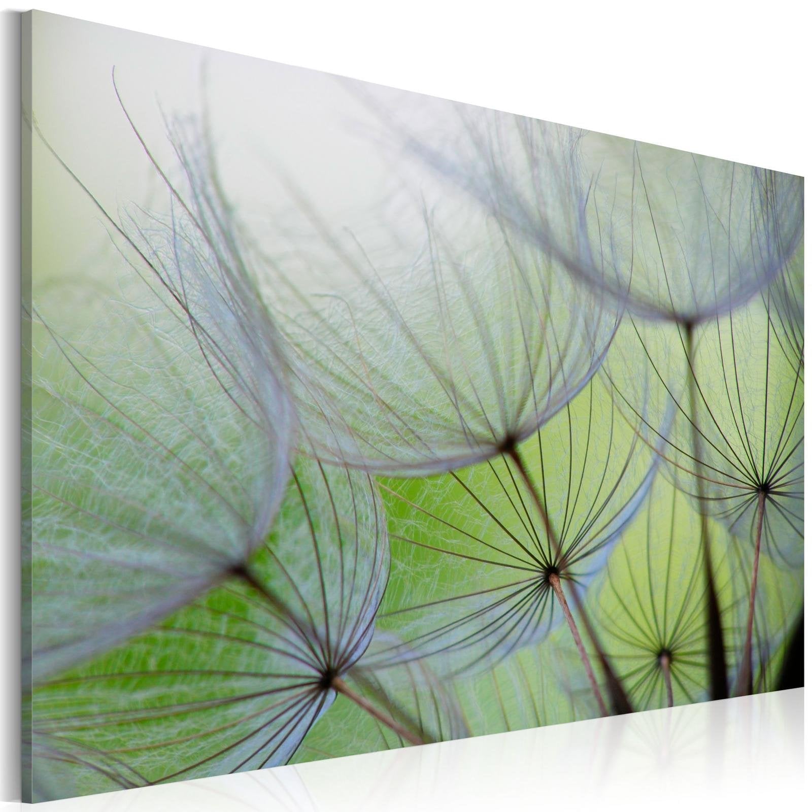 Stretched Canvas Floral Art - Dandelion In The Wind-Tiptophomedecor
