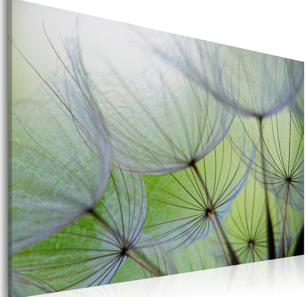 Stretched Canvas Floral Art - Dandelion In The Wind-Tiptophomedecor
