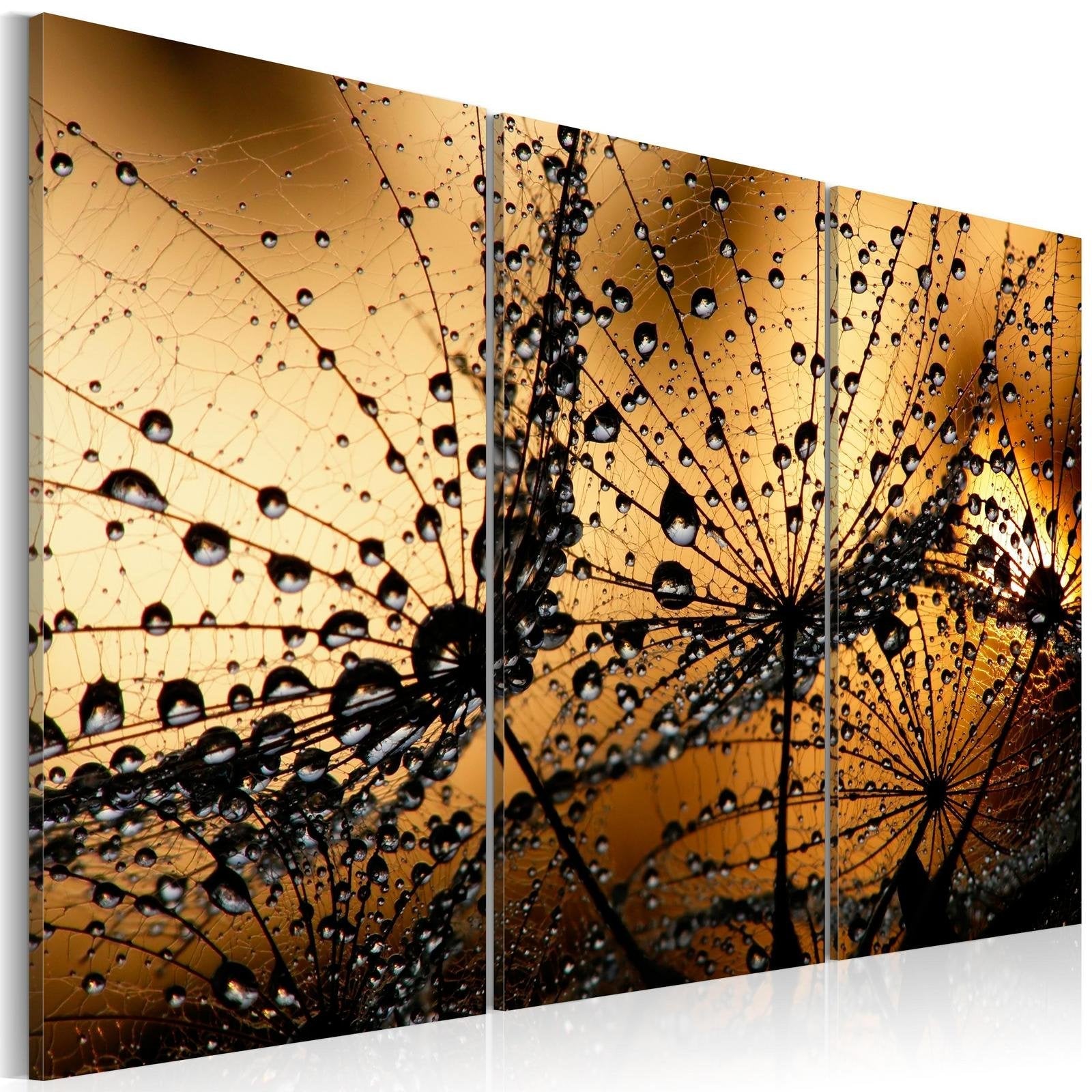 Stretched Canvas Floral Art - Dandelions And Dew-Tiptophomedecor