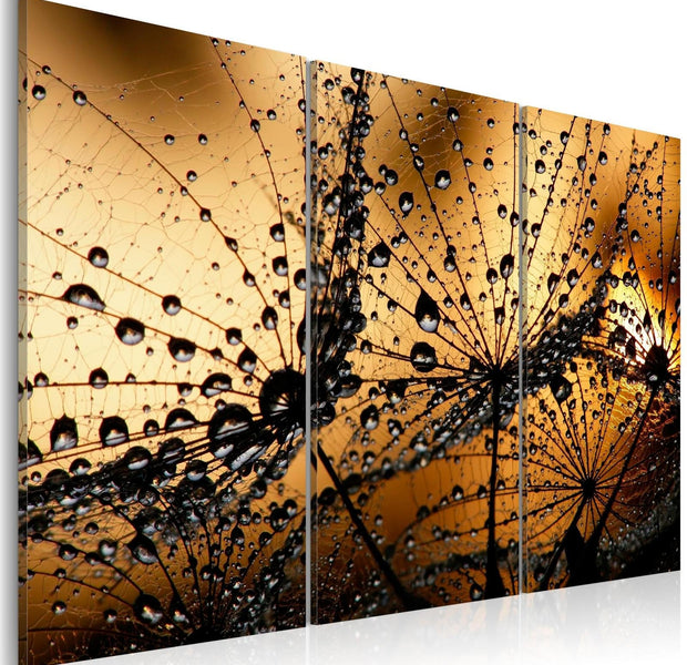 Stretched Canvas Floral Art - Dandelions And Dew-Tiptophomedecor