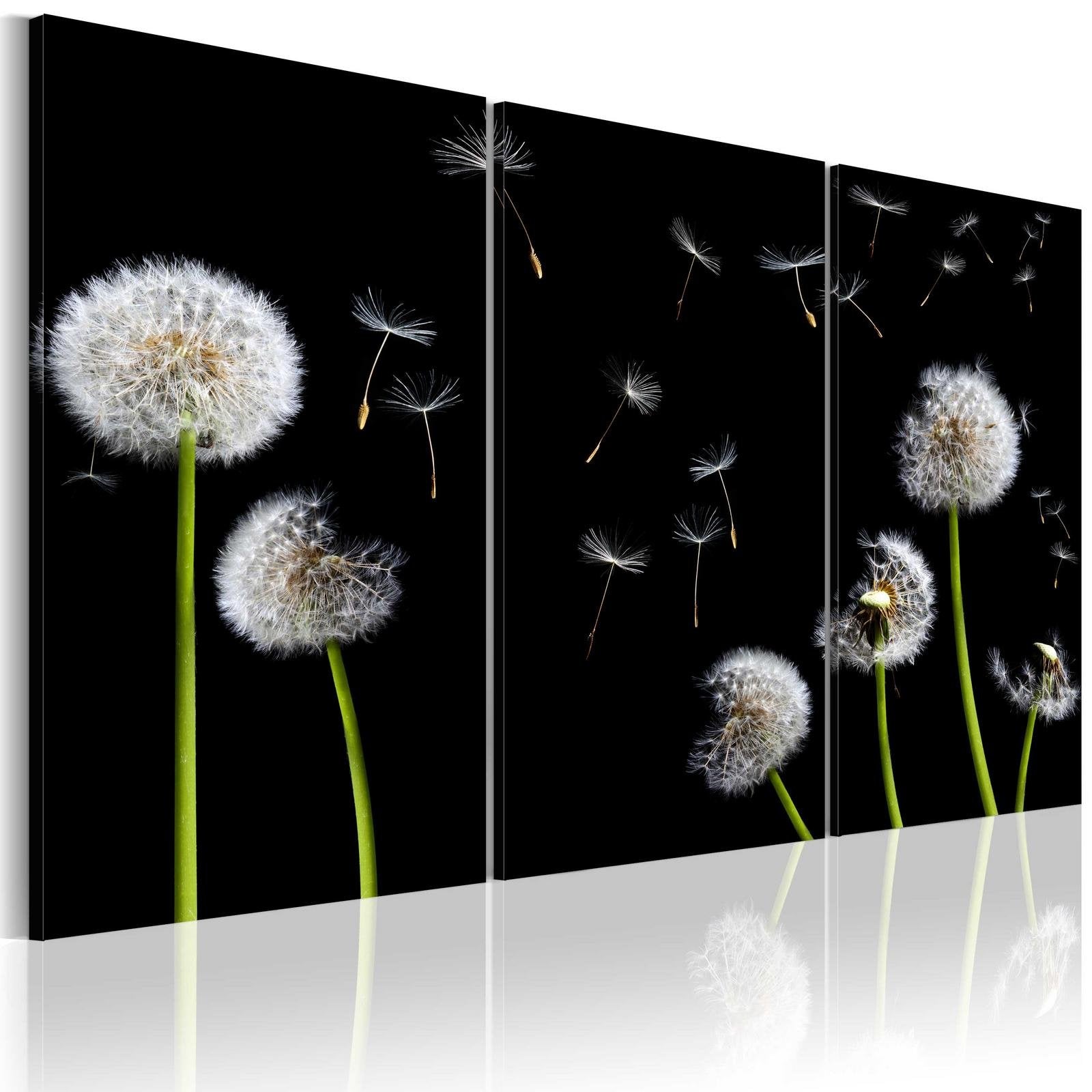 Stretched Canvas Floral Art - Dandelions Family-Tiptophomedecor