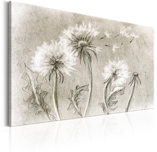 Stretched Canvas Floral Art - Dandelions (Pencil Artwork)-Tiptophomedecor