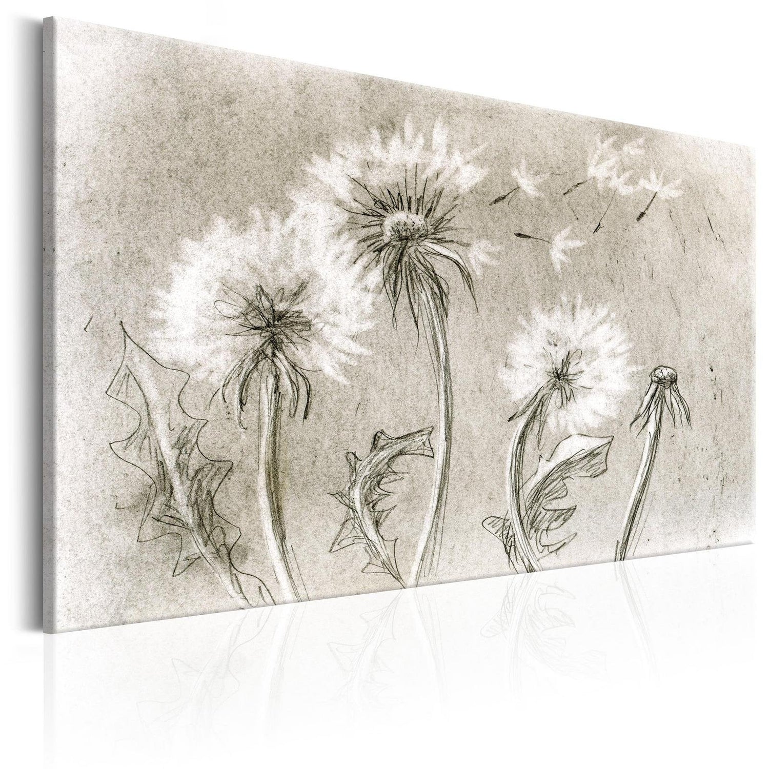 Stretched Canvas Floral Art - Dandelions (Pencil Artwork)-Tiptophomedecor