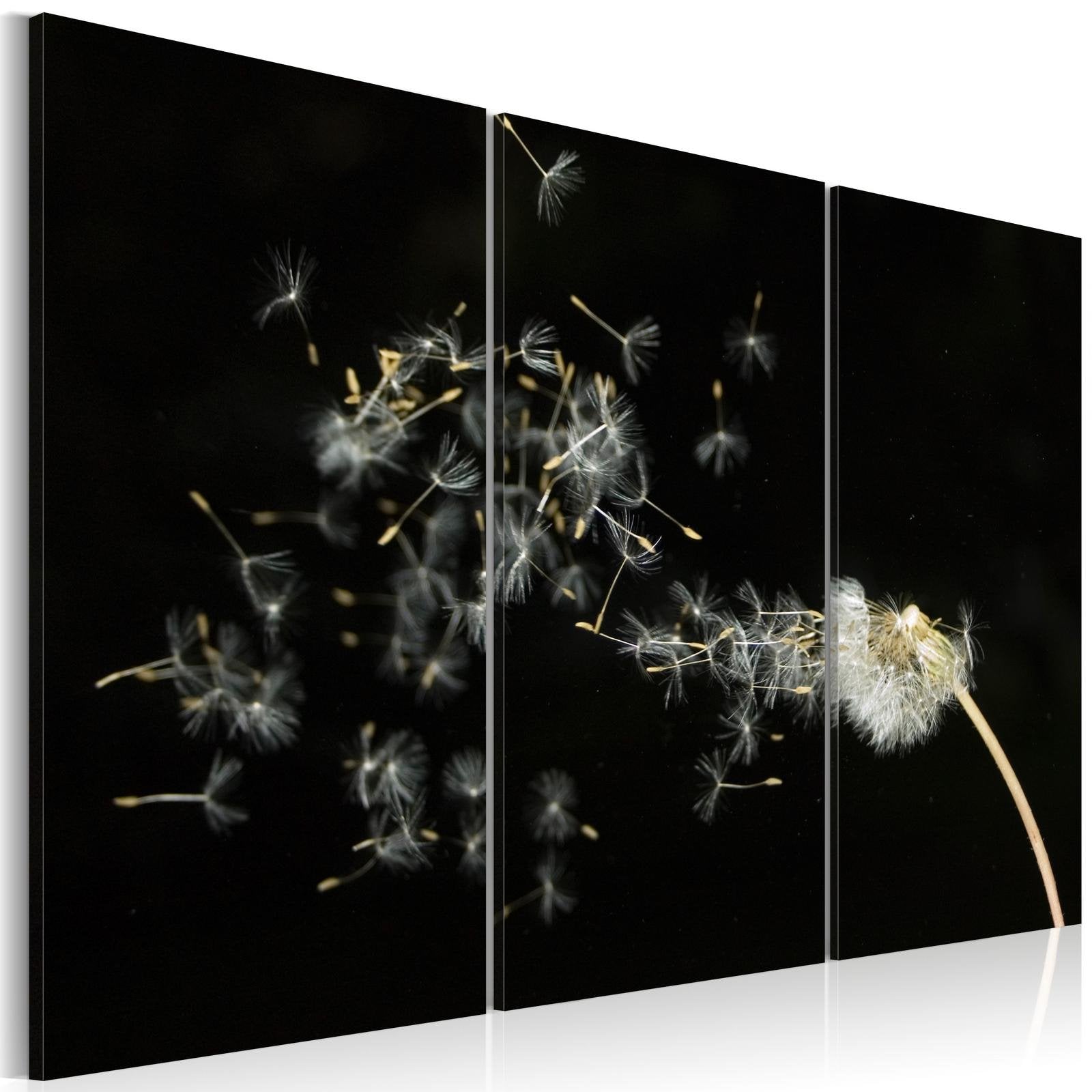 Stretched Canvas Floral Art - Dandelions- The Transience-Tiptophomedecor