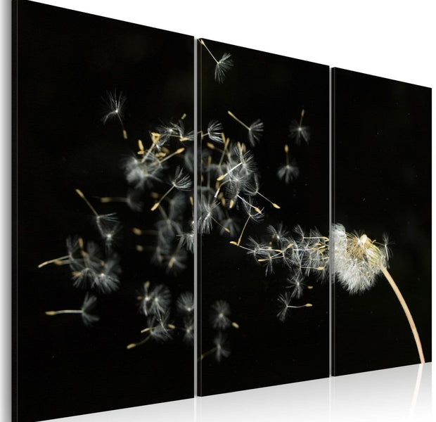 Stretched Canvas Floral Art - Dandelions- The Transience-Tiptophomedecor