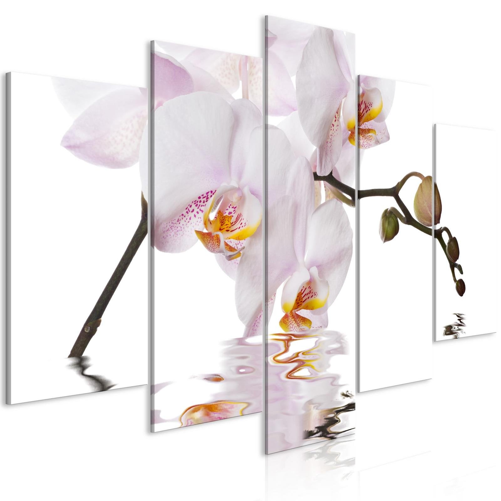 Stretched Canvas Floral Art - Delightful Orchid Wide-Tiptophomedecor