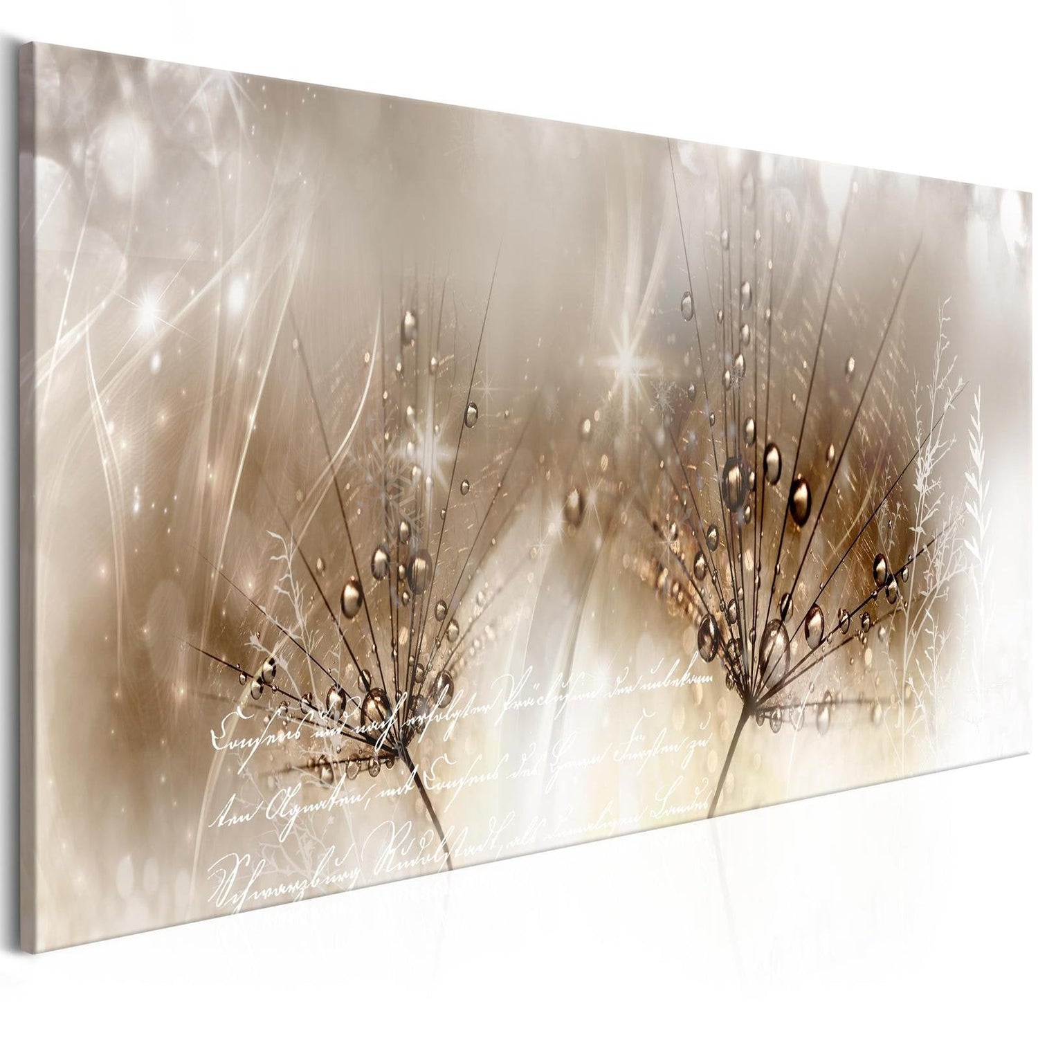 Stretched Canvas Floral Art - Drops Of Dew Brown Narrow-Tiptophomedecor