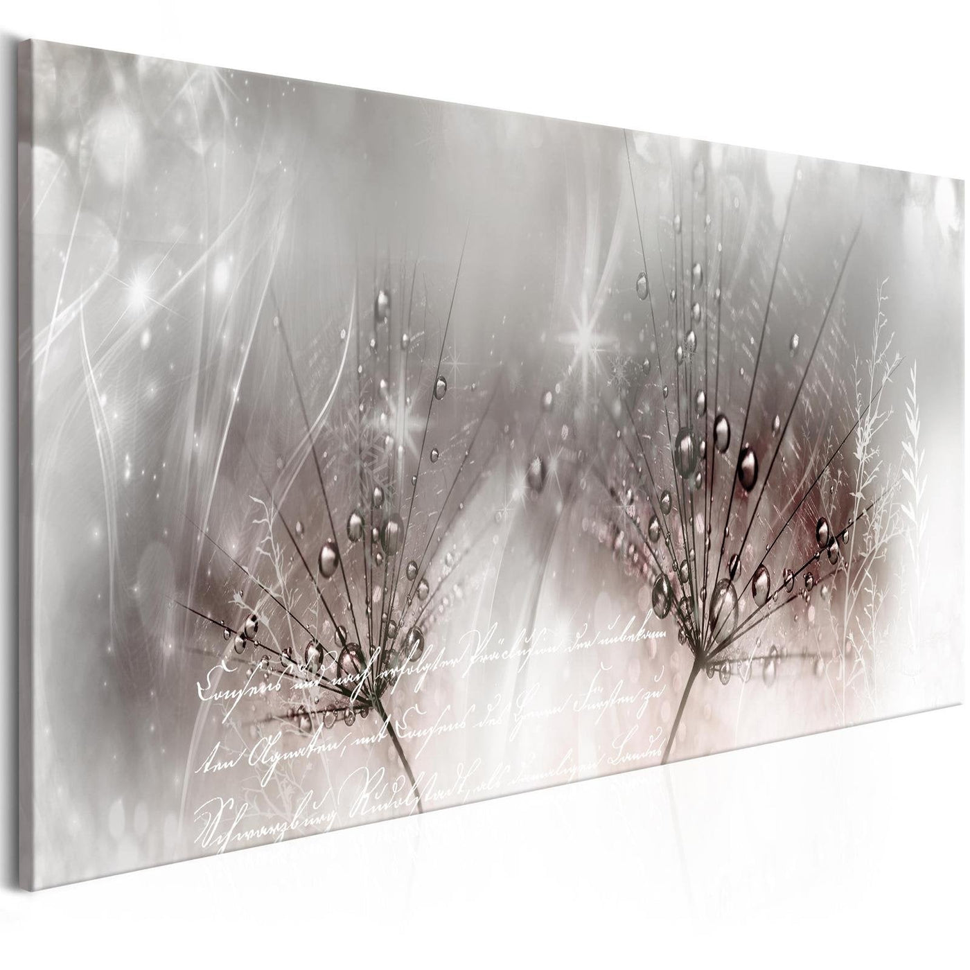 Stretched Canvas Floral Art - Drops Of Dew Pink Narrow-Tiptophomedecor