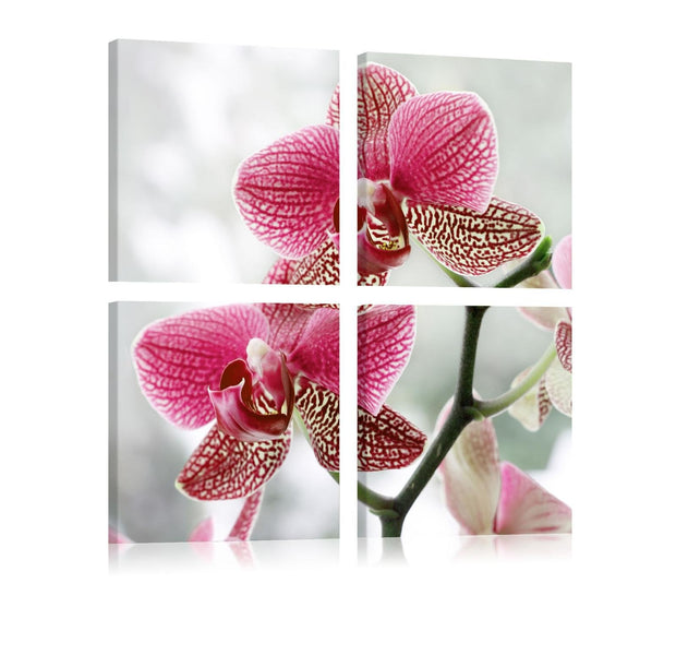 Stretched Canvas Floral Art - Fancy Orchid-Tiptophomedecor