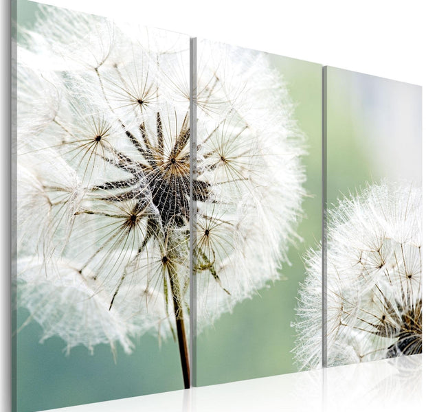 Stretched Canvas Floral Art - Fluffy Dandelions-Tiptophomedecor