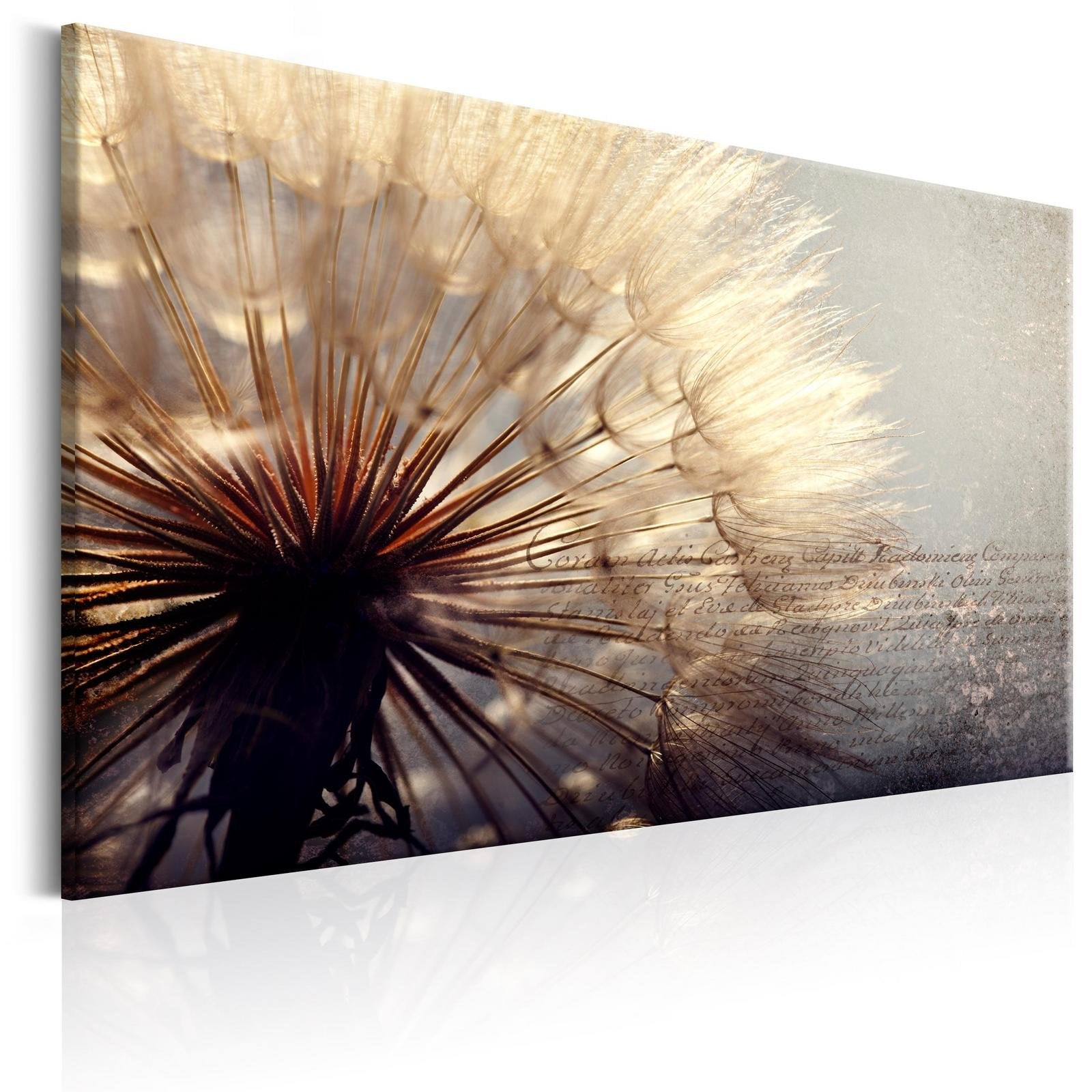Stretched Canvas Floral Art - Gentleness Of Summer-Tiptophomedecor