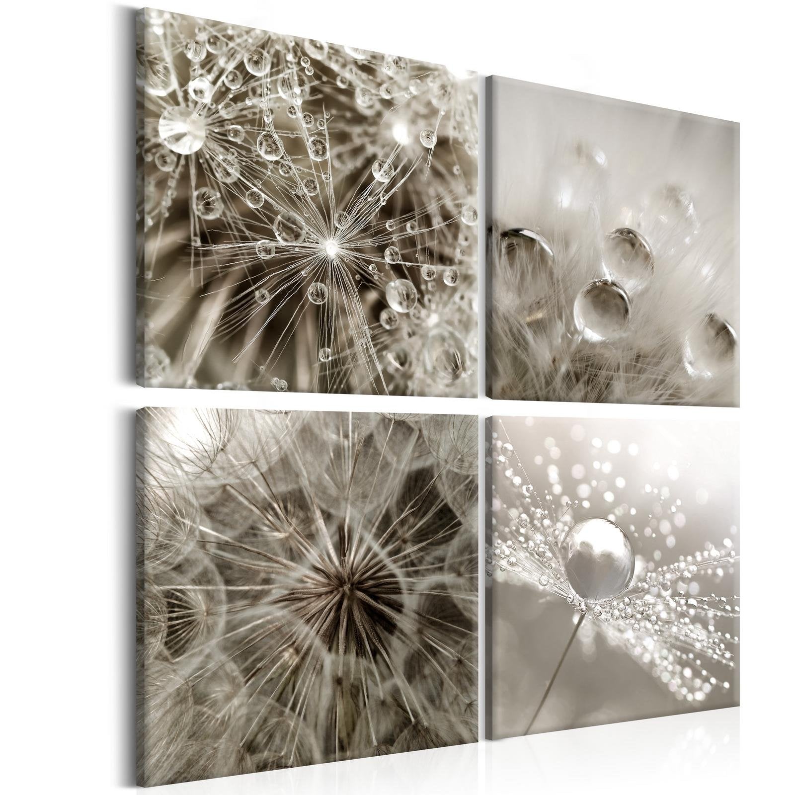 Stretched Canvas Floral Art - Grey Dandelion-Tiptophomedecor
