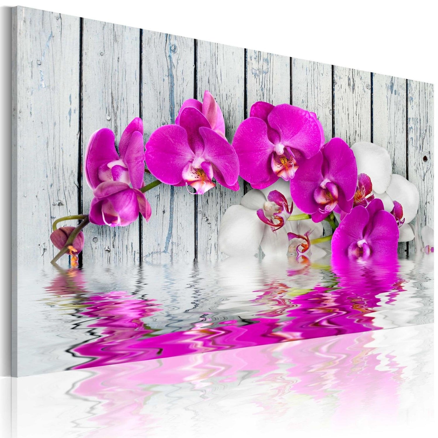 Stretched Canvas Floral Art - Harmony: Orchid-Tiptophomedecor