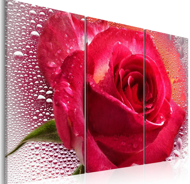 Stretched Canvas Floral Art - Lady Rose - Triptych-Tiptophomedecor