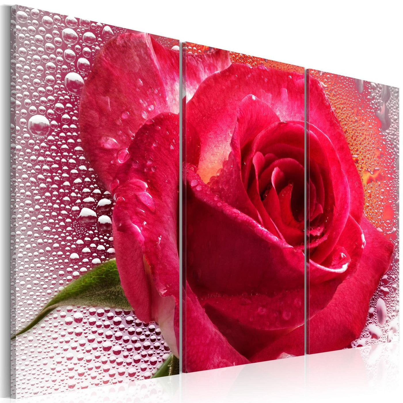 Stretched Canvas Floral Art - Lady Rose - Triptych-Tiptophomedecor