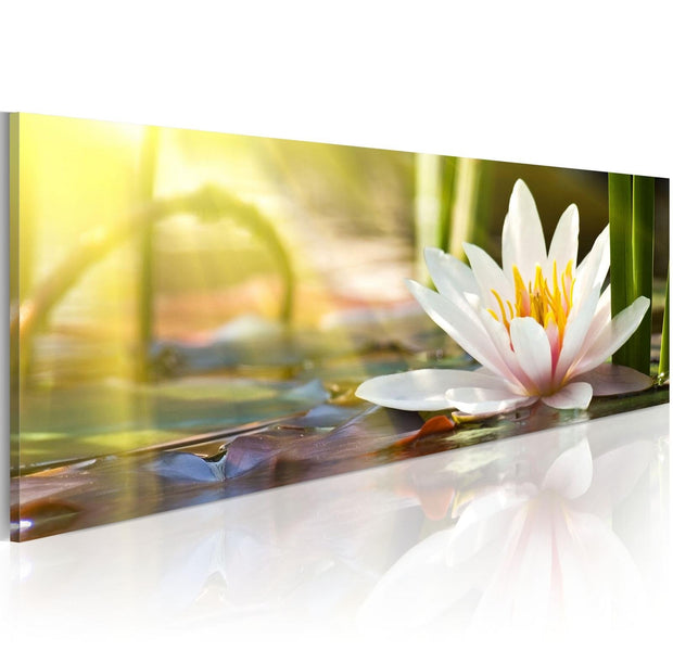 Stretched Canvas Floral Art - Lotus' Glow-Tiptophomedecor