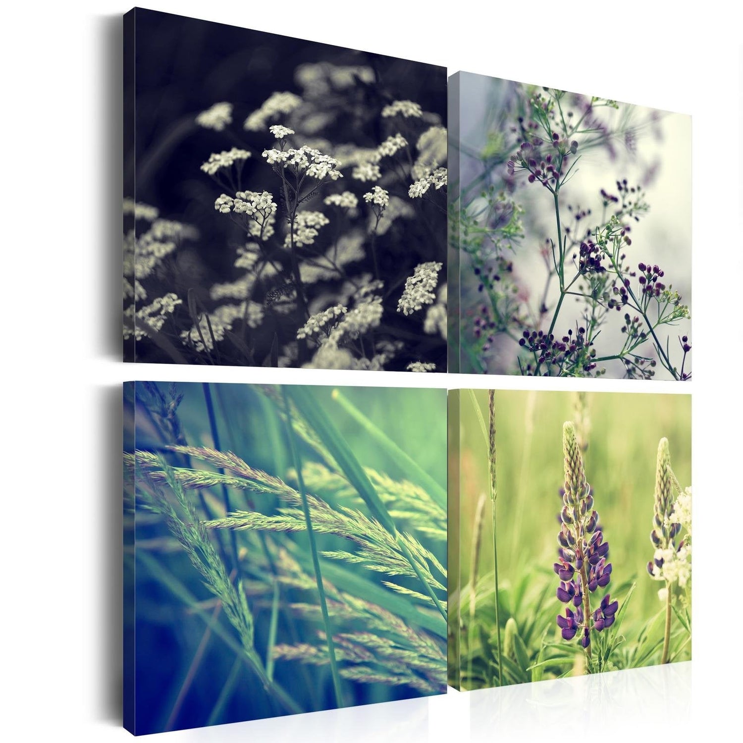 Stretched Canvas Floral Art - Magical Field-Tiptophomedecor