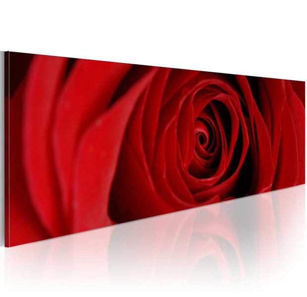 Stretched Canvas Floral Art - Midnight Rose-Tiptophomedecor