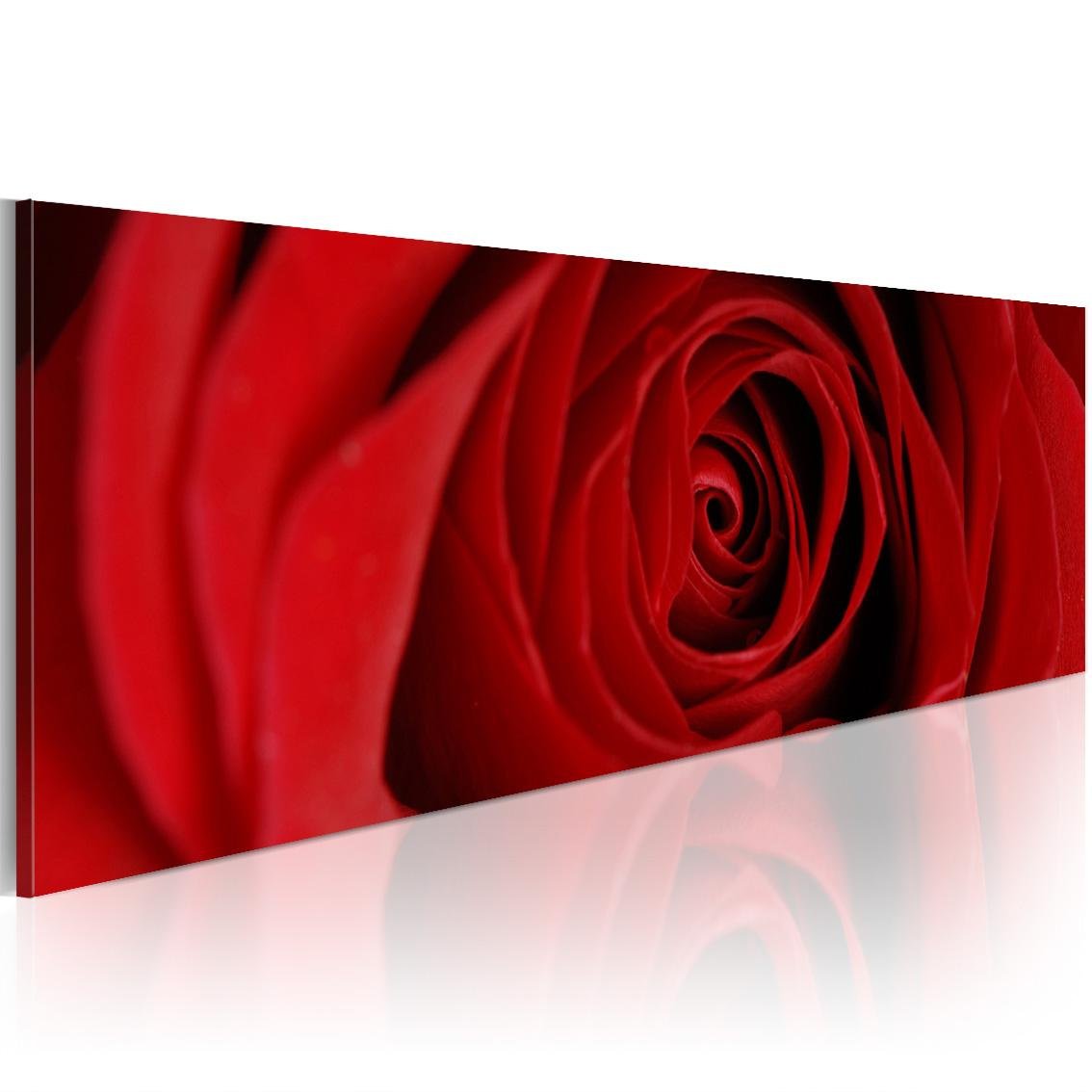 Stretched Canvas Floral Art - Midnight Rose-Tiptophomedecor