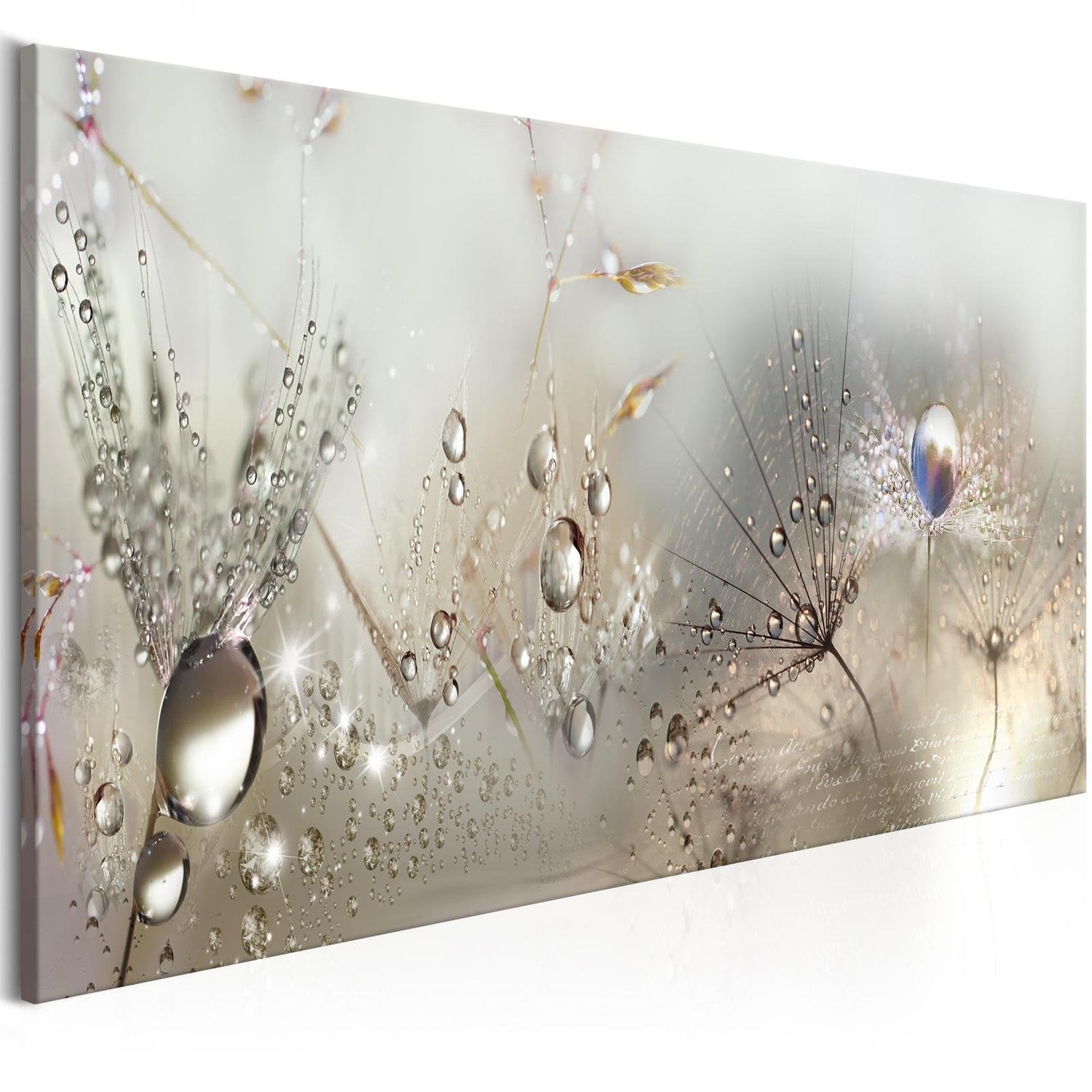 Stretched Canvas Floral Art - Morning Song-Tiptophomedecor