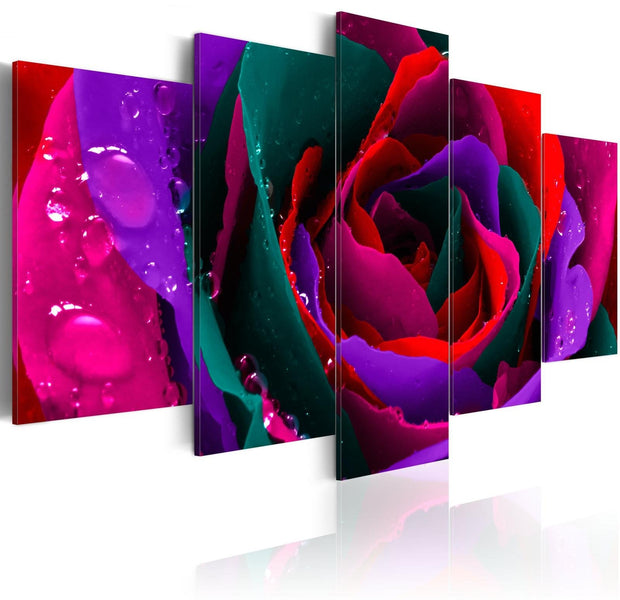 Stretched Canvas Floral Art - Multicoloured Rose-Tiptophomedecor