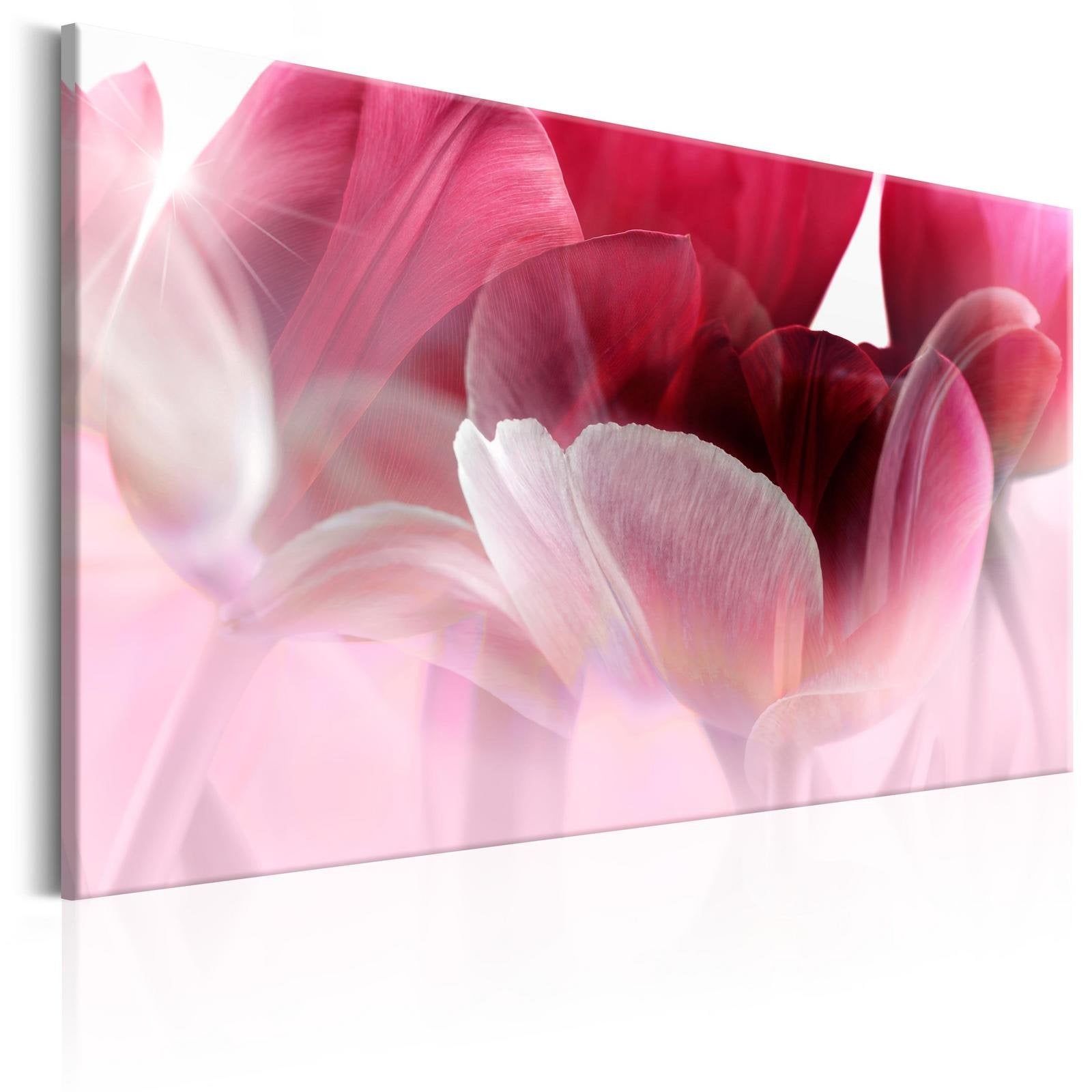 Stretched Canvas Floral Art - Nature: Pink Tulips-Tiptophomedecor