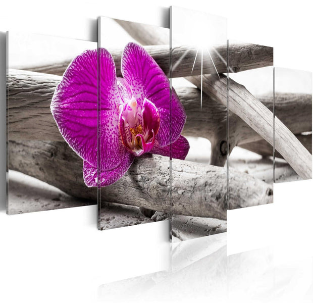 Stretched Canvas Floral Art - Orchid On Beach-Tiptophomedecor