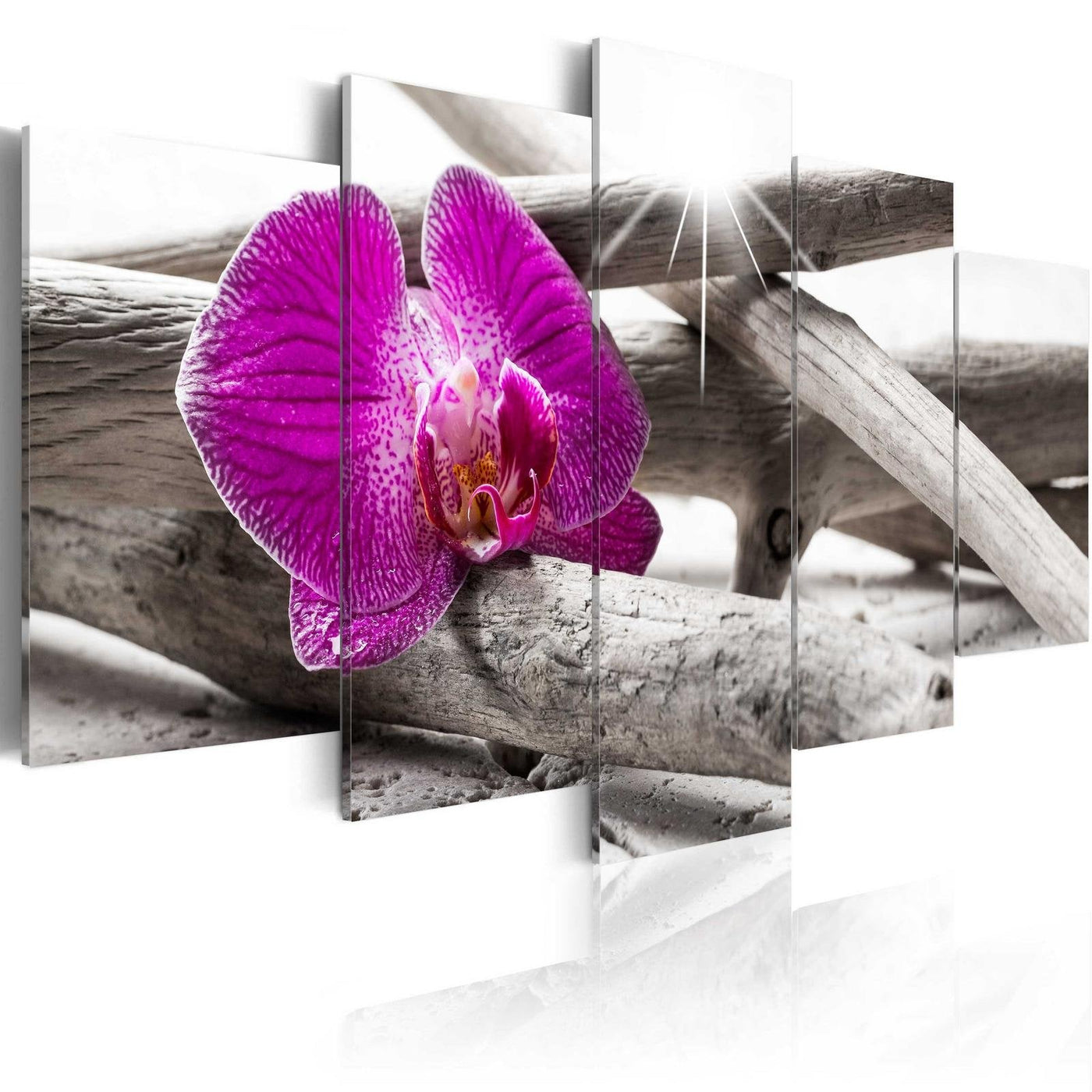 Stretched Canvas Floral Art - Orchid On Beach-Tiptophomedecor